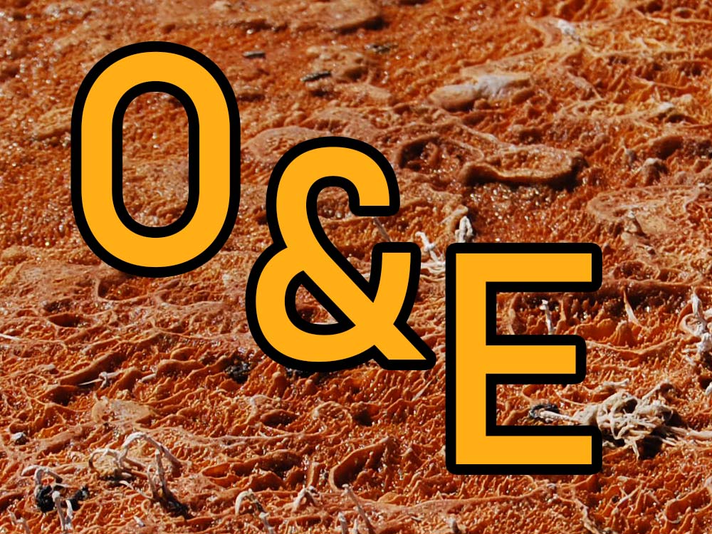 TEE odds and ends logo